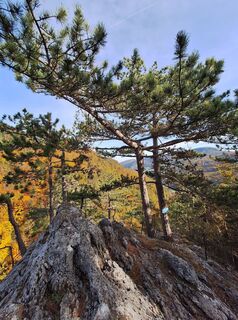 Foto de RobuC a lo largo del recorrido