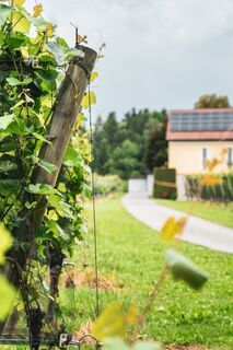 Weingarten