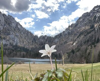 Foto van Dani Geiger / Natur_erleben_dg langs de tour