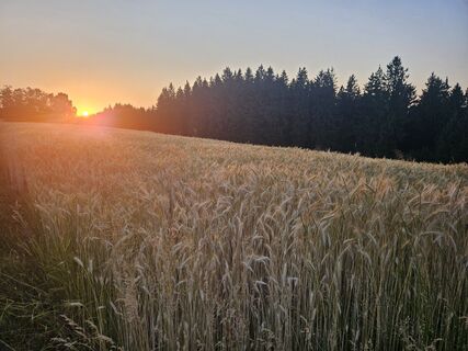 Kuva osoitteesta ElkeA matkan varrella