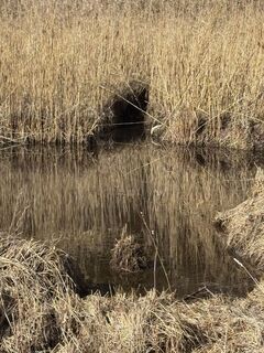 Foto de Denise Miller a lo largo del recorrido
