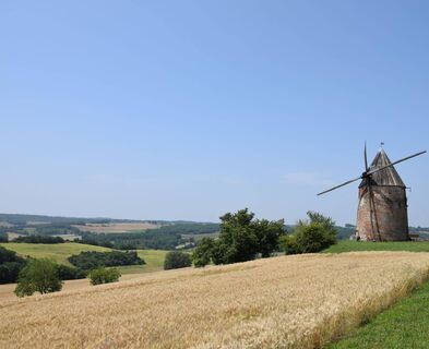 Zemljevid