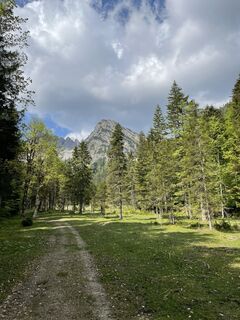 Fotografija s spletne strani NorbertZ na poti