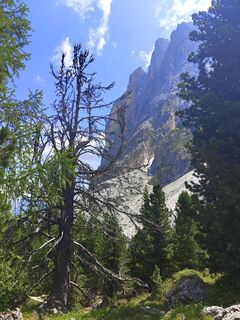 Foto von UlliDob entlang der Tour