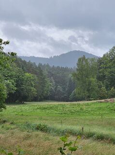 Fotografia z Angelika Gerung na trase
