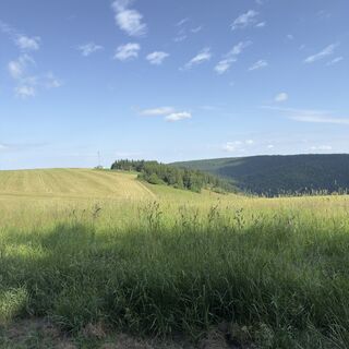Foto von Steffen Kiesel entlang der Tour
