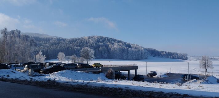 Fotografija s spletne strani Frieda Schatz na poti