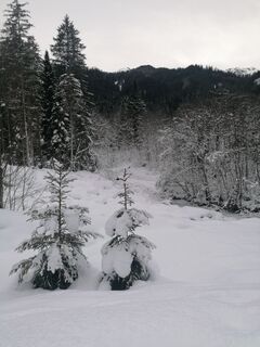 Fotografija s spletne strani R. H na poti