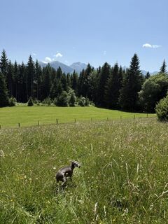 Fotografija s spletne strani György Kovács na poti