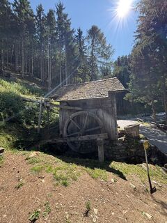 Photo de Michael Kogler le long du parcours