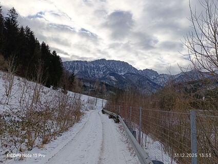 Foto von Melanie Rapperstorfer 1 entlang der Tour