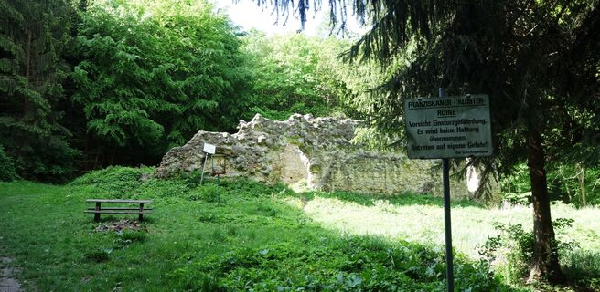 die Klosterruine