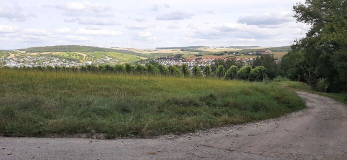 Foto från Georg Meisterjahn under resans gång