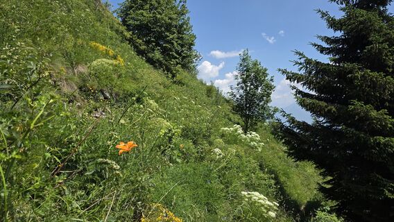 Photo de euterpe42 le long du parcours