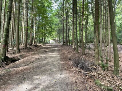 Photo de Gerald le long du parcours