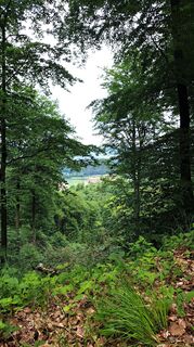 Photo de Anita Lunzer 1 le long du parcours