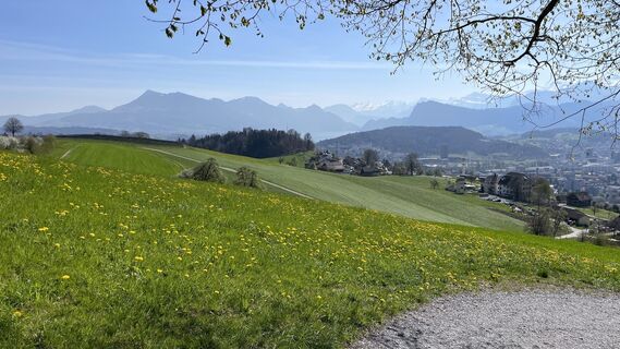 Fotografija s spletne strani Peter Burki na poti