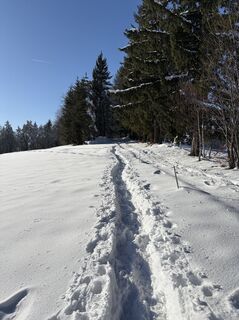 Fotografia z Reinhard Frewein na trase