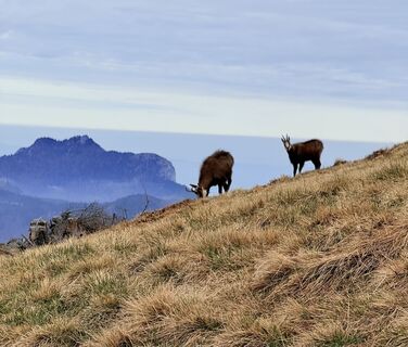 Zdjęcie z Natur_erleben_dg wzdłuż trasy