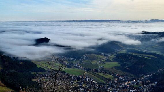 Фото с сайта Regina Fleischmann во время экскурсии