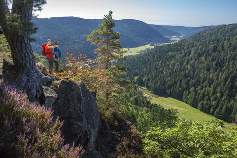 Ausblick über das Albtal am Bildsteinfelsen, Dachsberg