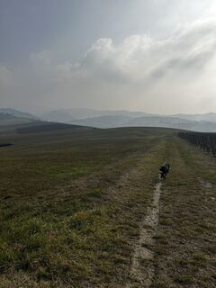 Fotografie z Mirko Deriu na trase