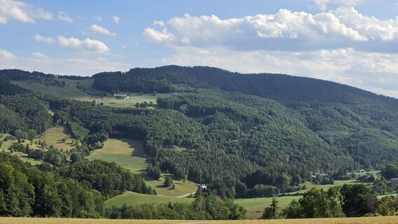 Photo de fschwarzenberger le long du parcours