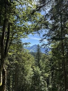 Foto de Marie-Therese a lo largo del recorrido