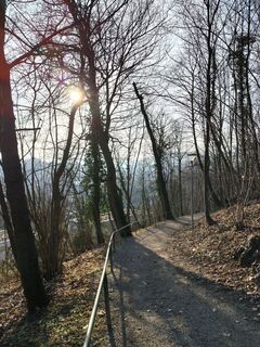 Foto de Poschacher a lo largo del recorrido