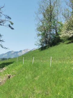 Fotografija s spletne strani Waldläufer na poti