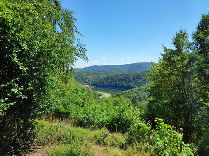 Nationalpark Kellerwald-Edersee - Ausblick auf der Ringelsberg-Route (UNESCO Weltnaturerbe)