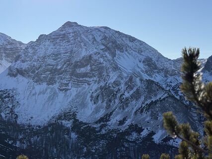 Foto von Natur_erleben_dg entlang der Tour