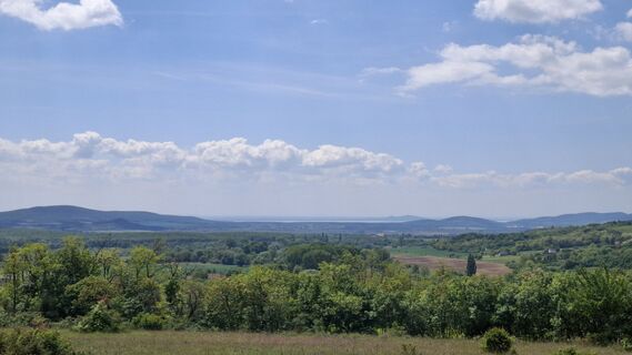 Fotografija s spletne strani Márti na poti