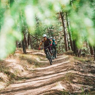 Bodmer Loop