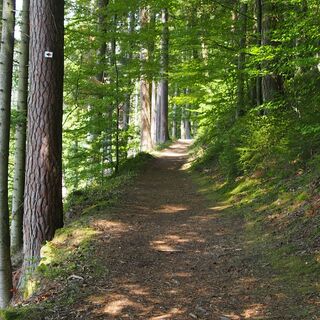 Auf dem Felsenweg