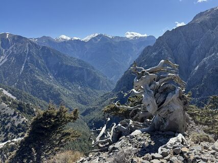 Foto de Xenos a lo largo del recorrido