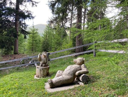 Waldlehrpfad
