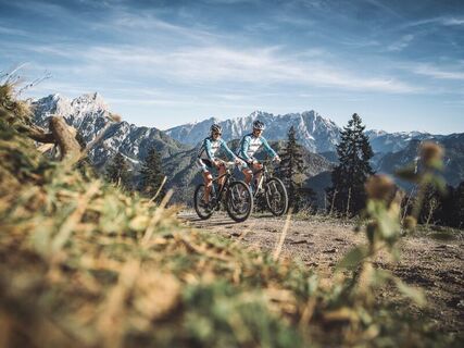 Forstweg mit Ausblick