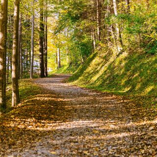 Weg zum Wildschloss