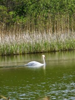 Fotografie z Angelika Gerung na trase