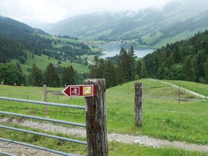 Aussicht vor La Balisaz - Panorama Bike Etappe 12
