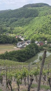 Photo de Dietmar Herrenschmidt le long du parcours