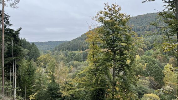 Foto de Siggi unterwegs a lo largo del recorrido