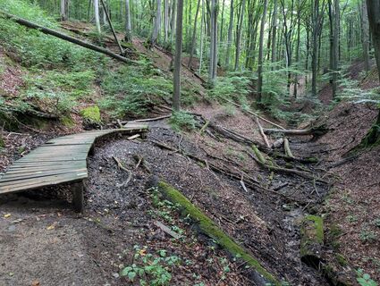 Foto von Edgar Schnicke entlang der Tour