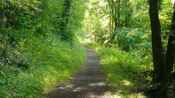 Am Rheinuferweg