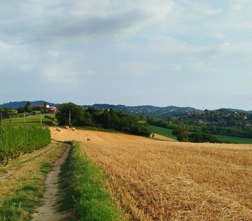 Hügel um Chieri (TO)