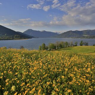 Blick von Kaltenbrunn auf den Tegernsee