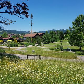 Wildblumenwiese im Oberstaufen PARK