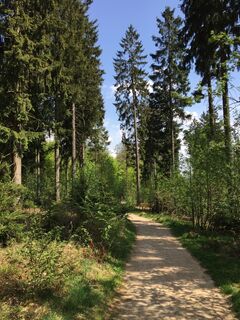 Naturerlebnispfad Hohe Bracht
