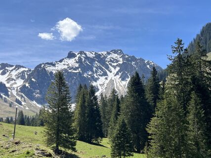 Foto von Georges RIEDO 1 entlang der Tour